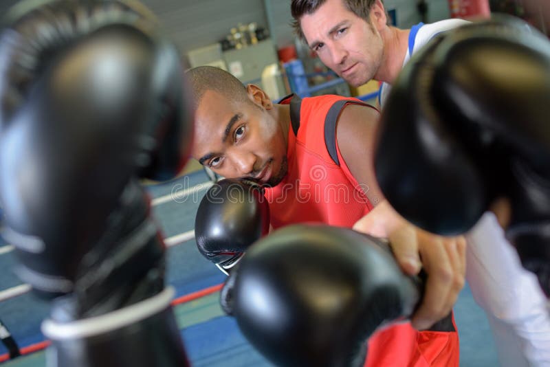 Boxer and trainer stock photo. Image of active, boxing 264499818