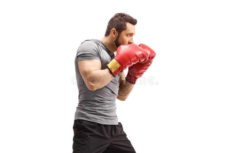 Boxer in guard position stock image. Image of training 20304363