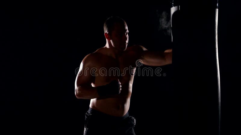 Shadow Boxing. Black Silhouette on a White Background, Sports Stock Footage  ft. alpha & boxer - Envato Elements