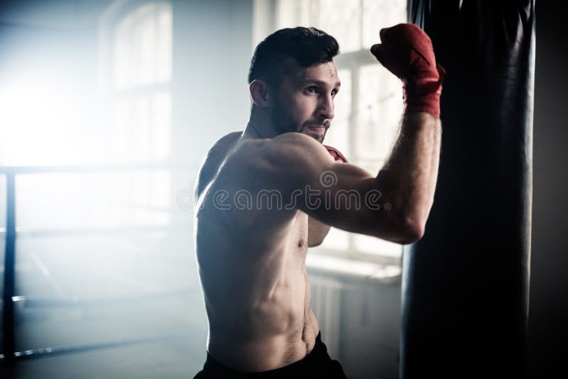 Boxer Preparing for a Hard Fight Stock Photo Image of healthy, person