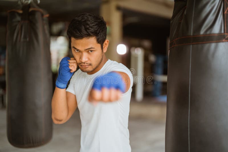 Boxer Seriously Punching the Heavy Bags in the Ring Stock Image Image