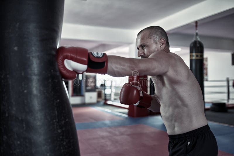 Boxer Training at Heavy Bag Stock Photo Image of punch, sporting
