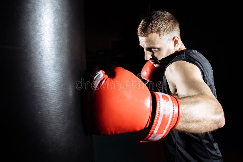 Boxer training on a punching bag in the gym royalty free stock photos Boxer training on a punching bag in the gym royalty free stock photos