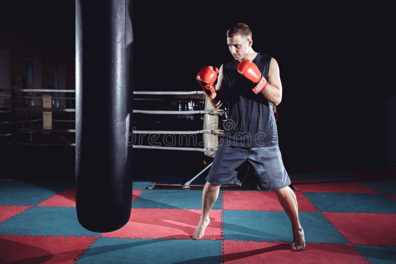 Boxer Training on a Punching Bag in the Gym Stock Image Image of male