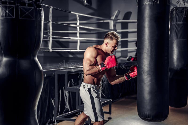 Boxer Training on a Punching Bag in the Gym Stock Image Image of