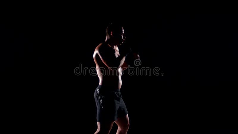 Shadow Boxing. Black Silhouette on a White Background, Sports Stock Footage  ft. alpha & boxer - Envato Elements