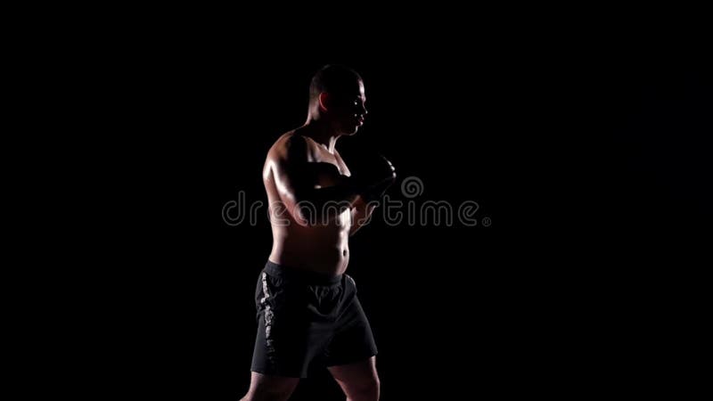 Shadow Boxing. Black Silhouette on a White Background, Sports Stock Footage  ft. alpha & boxer - Envato Elements