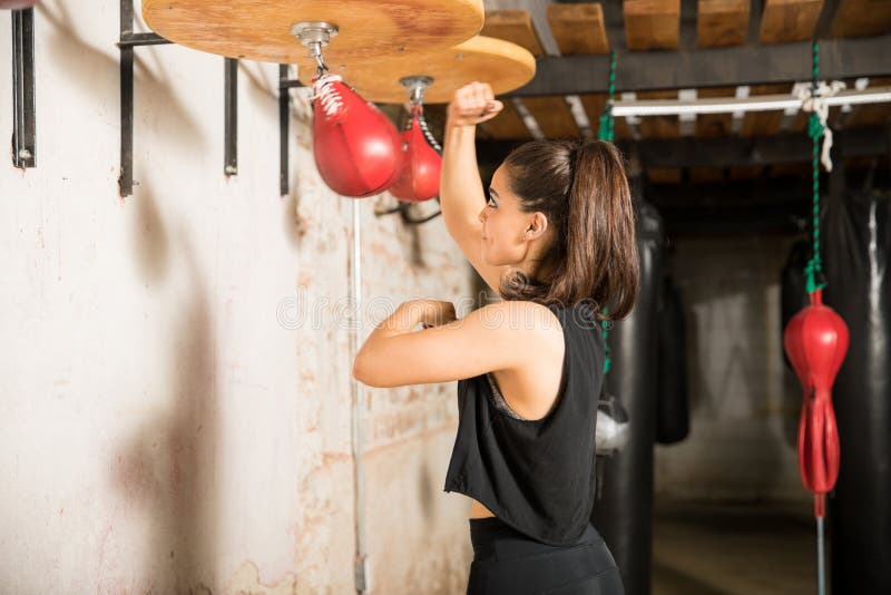 Boxer Using a Speed Bag for Training Stock Photo Image of training