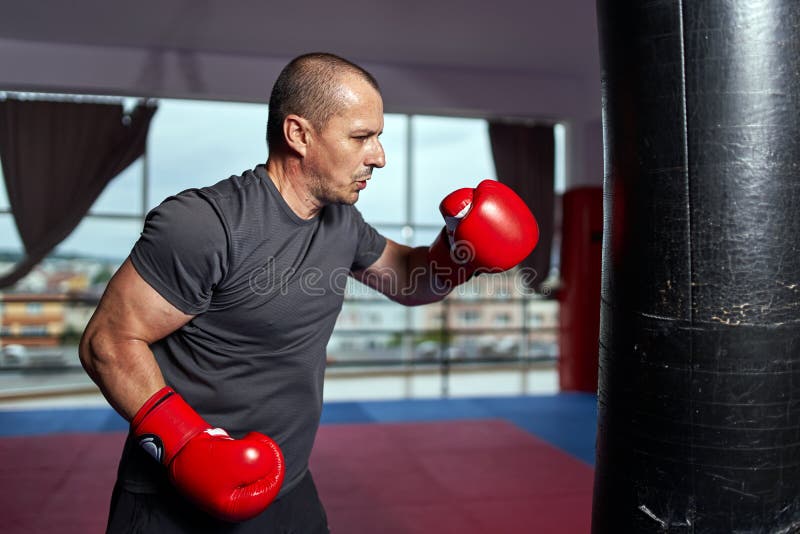 Boxer Working the Heavy Bag Stock Photo Image of male, combat 151864514