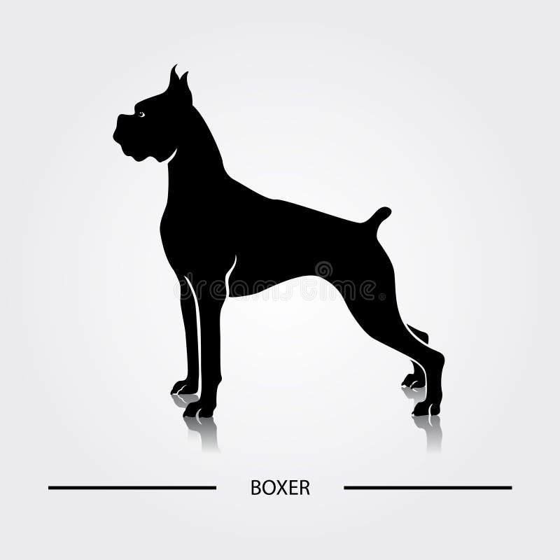 Boxer dog silhouette. Black silhouettes of breeds of dogs. Boxer dog silhouette. Black silhouettes of breeds of dogs.