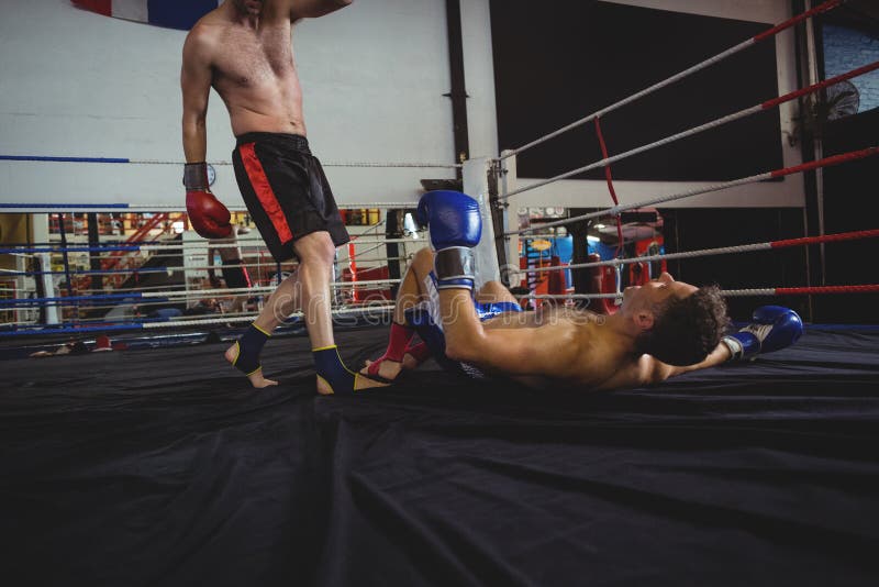 Boxers Fighting in Boxing Ring Stock Image Image of approaching