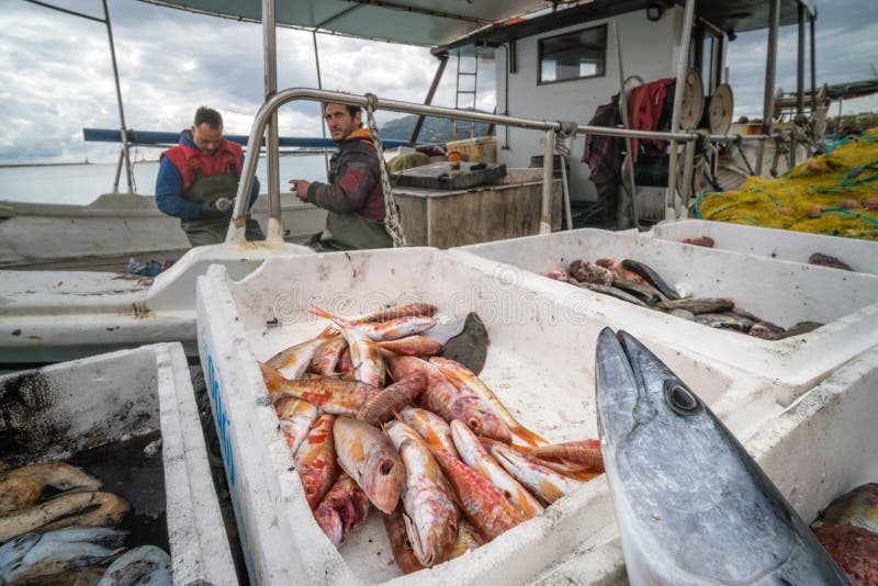 Boxes of freshly caught fish on a fishermen boat