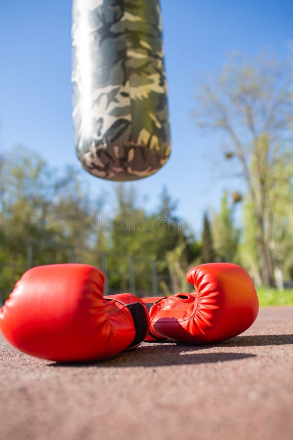 Boxing gloves and bag stock photo. Image of fitness 230751060