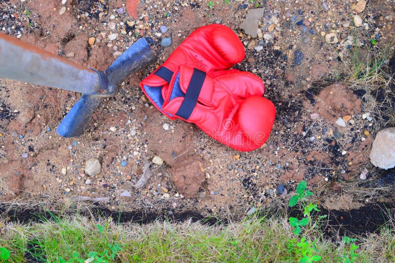 Boxing gloves on green grass. stock photography Boxing gloves on green grass. stock photography