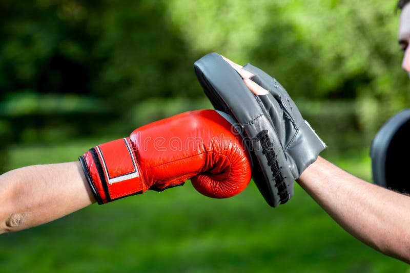 Boxing gloves stock photo Boxing gloves stock photo