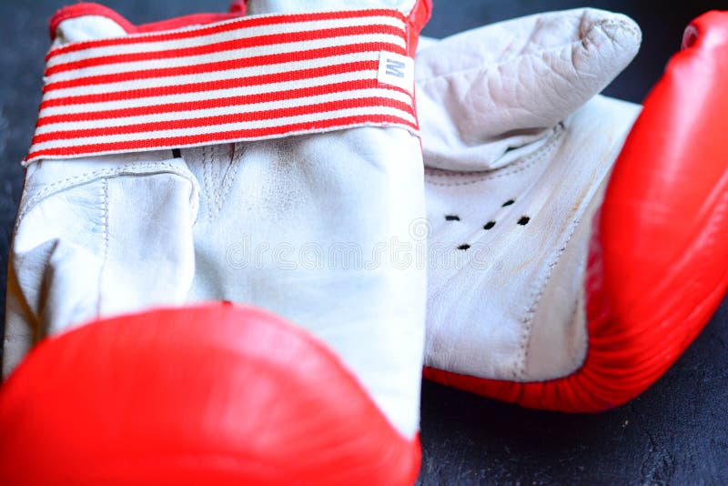 Boxing Gloves and Pads for Exercise Stock Photo Image of arts, color