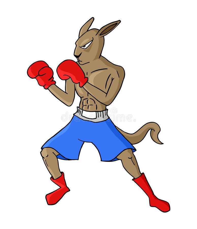 Kangaroo boxing stock vector. Illustration of domination 47442468