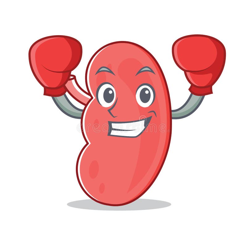 Boxing kidney character cartoon style