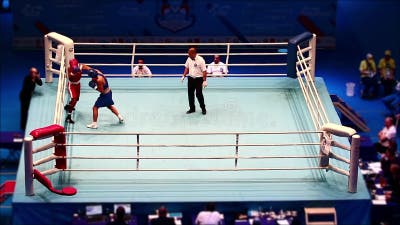 Moscow, Russia. 28th of November, 2013 Boxers fight for the title of world  Champions in the ring in the match of the World Chess Boxing Championship  in Moscow, Russia Stock Photo - Alamy