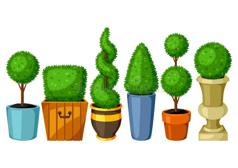 Boxwood topiary garden plants. Set of decorative trees in flowerpots royalty free illustration