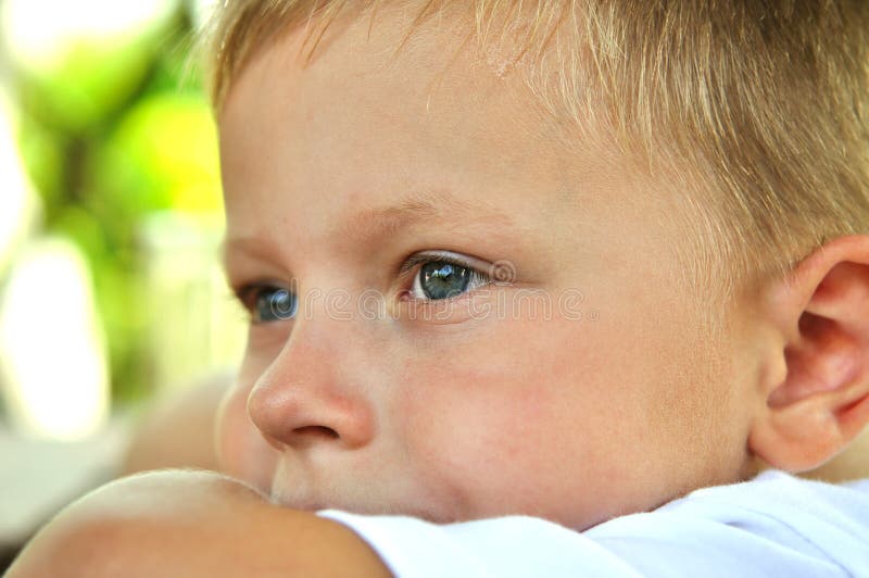 Small boy with flute stock photo. Image of flutes, beauty 3009900