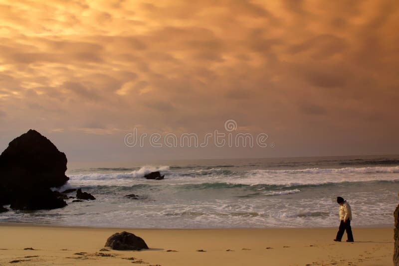 Boy in the beach