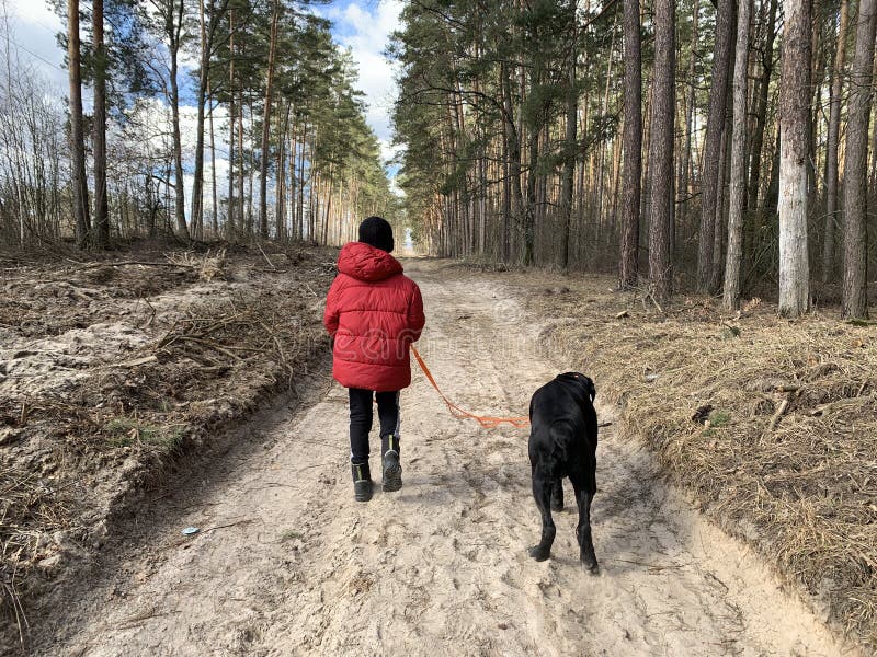 are cane corso good for hiking