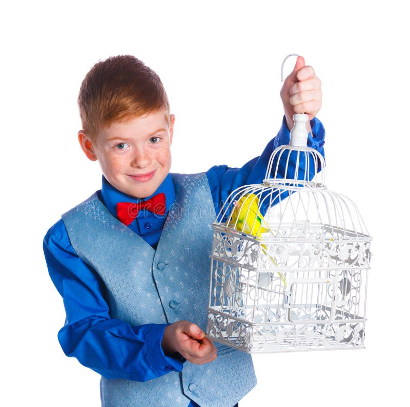 Boy with a bird stock photo. Image of feathers, childhood 71147466