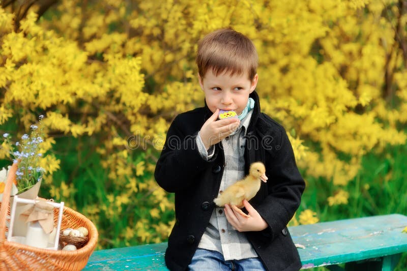 Boy and birds