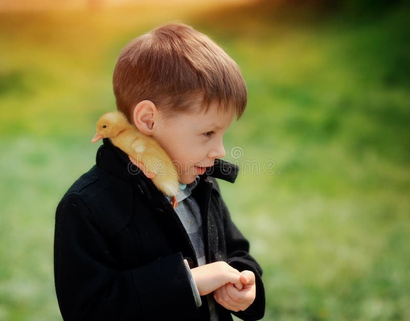 Boy and birds