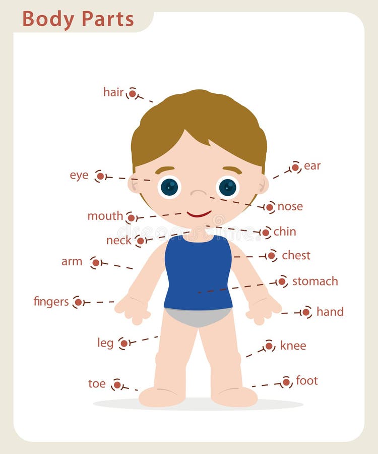 Boy body parts stock vector. Illustration of mouth, health ...