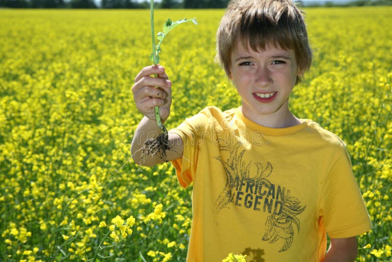 Boy in canola field