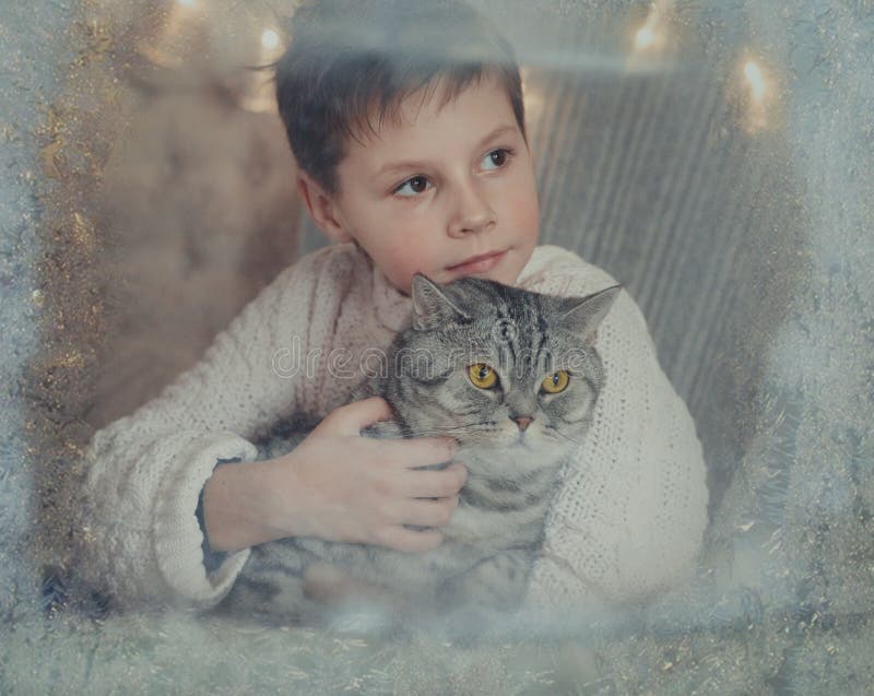 A boy and a cat at a winter window