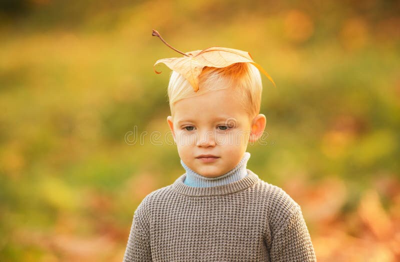 Boy child with yellow leaf in autumn park. Happy child dreams outdoors in autumn. Dreaming kids. stock photography