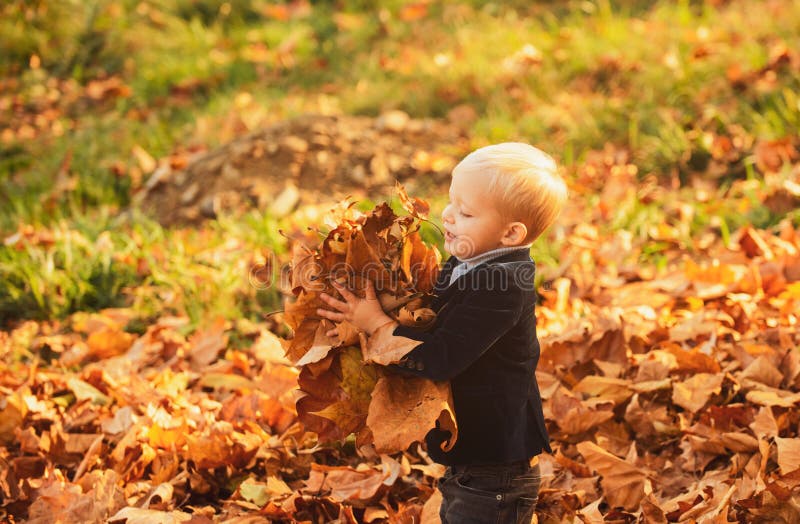 Boy child with yellow leaf in autumn park. Happy child throwing the fallen leaves up, playing in the autumn park. Happy stock images