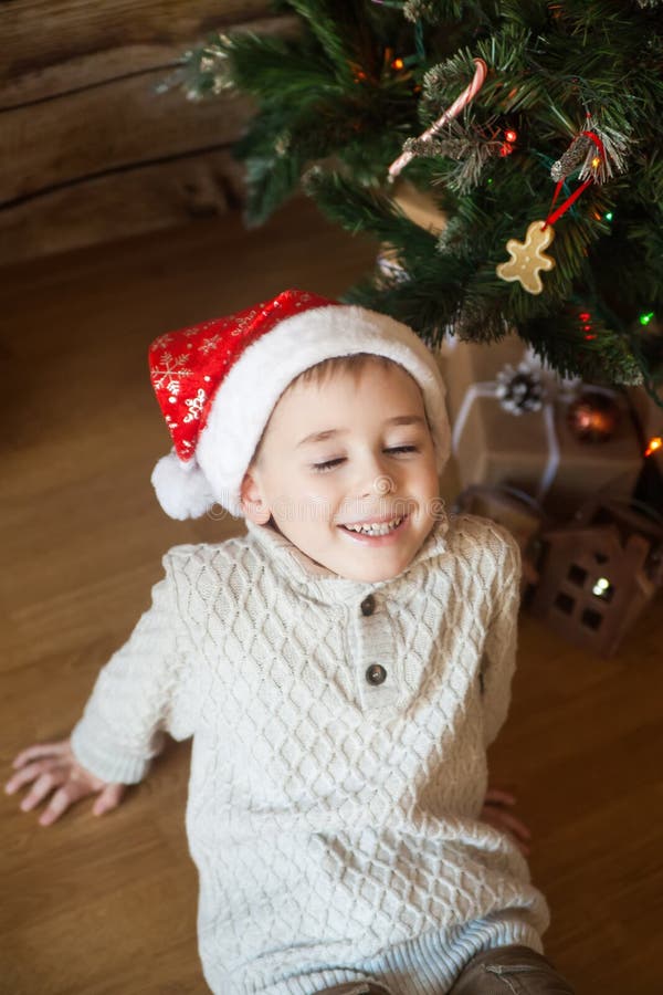 Boy in a Christmas Hat in Front of Decorated Tree Stock Photo Image