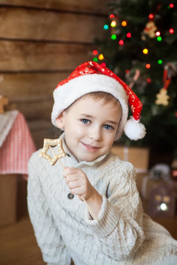 Boy in a Christmas Hat in Front of Decorated Tree Stock Photo Image
