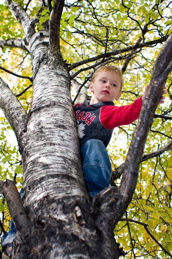 Boy climbing tree