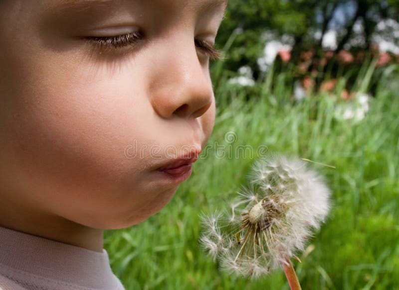 Boy making wish by blowing Dandelion. Boy making wish by blowing Dandelion