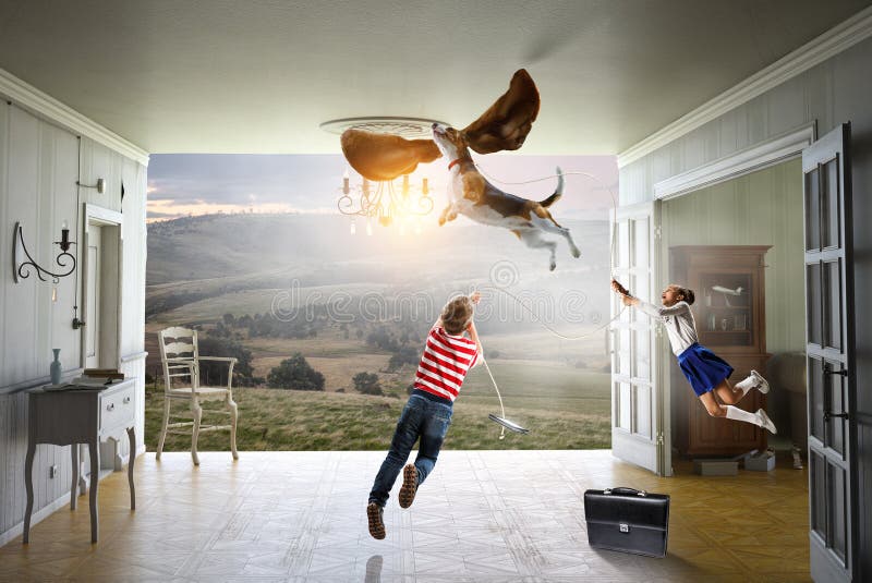 Boy with a Dog Flying through the Air with His Ears Stock Photo Image