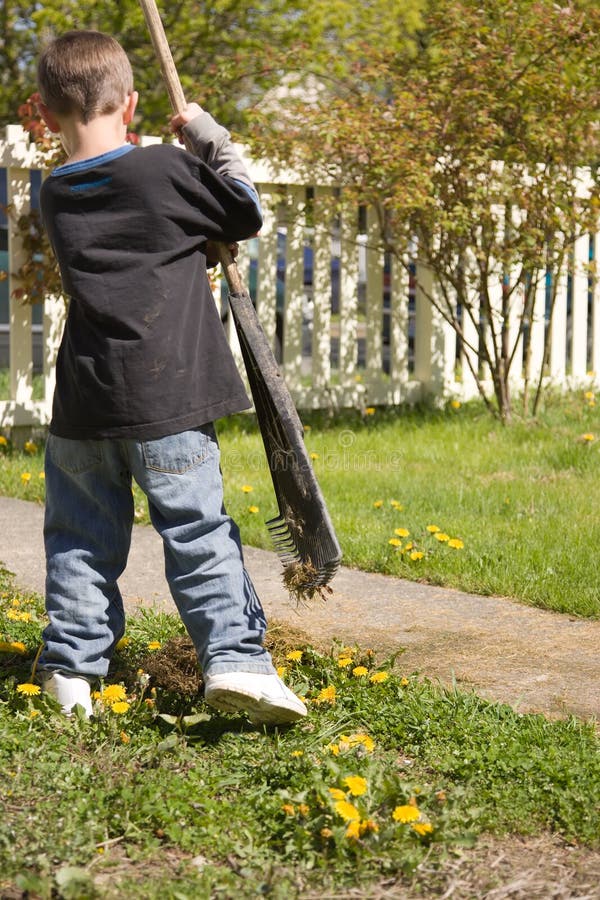 Boy Doing Yardwork Stock Images Image 2256344