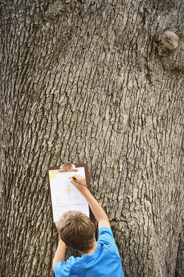 Boy Drawing By Tree Trunk