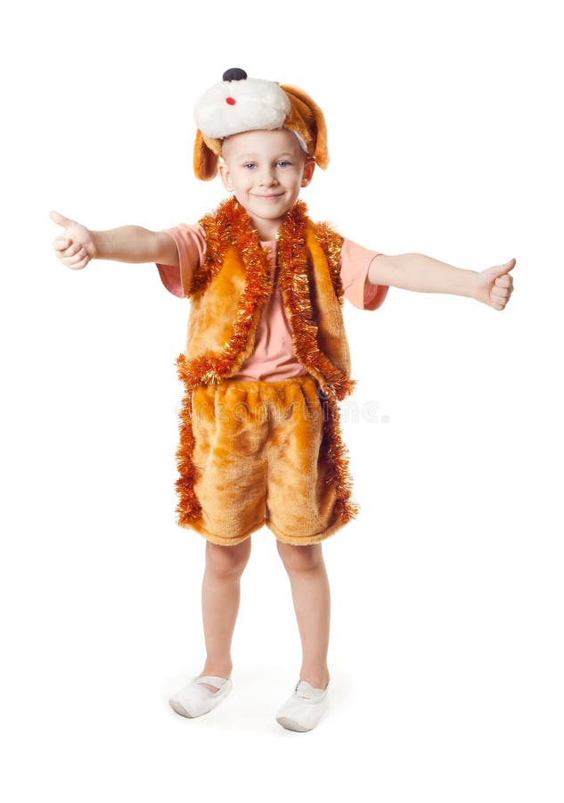 Birthday dog stock image. Image of isolated, black, jacket 8433081