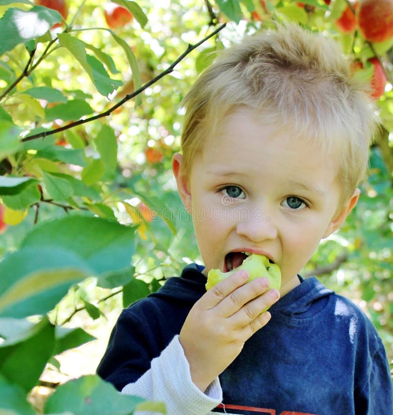 Lindo un nino chico comer manzana manzana Huerta.