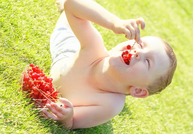 Boy eating berries currants royalty free stock photography