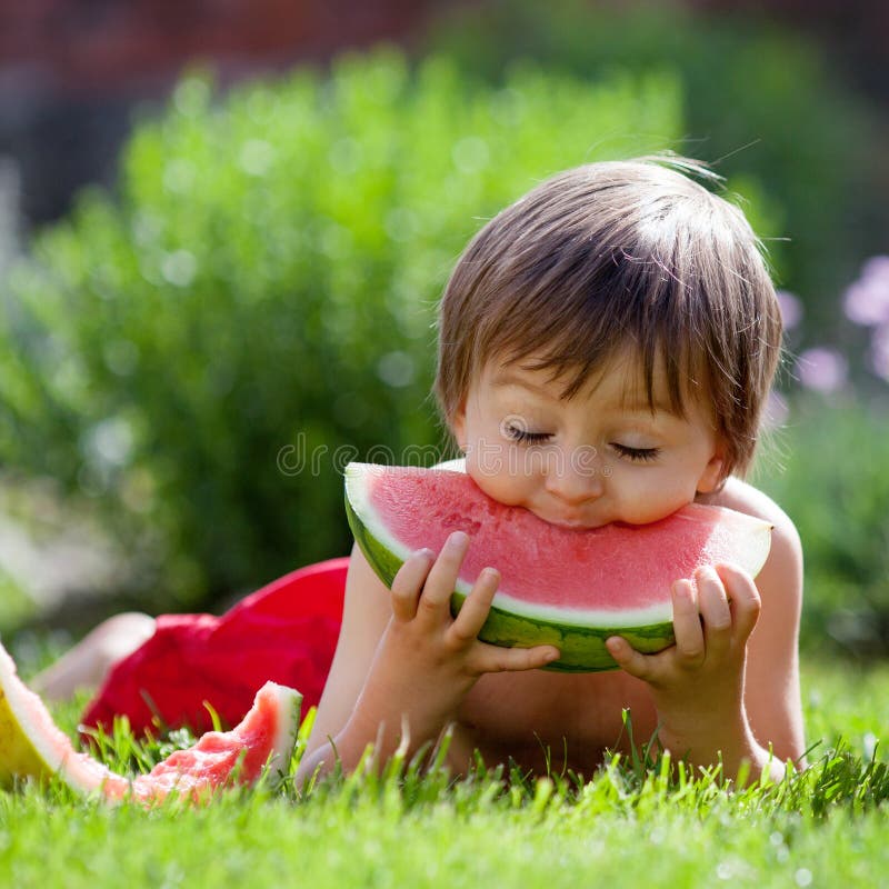 Melon Munching stock image. Image of eating, licking, amusing - 8013381