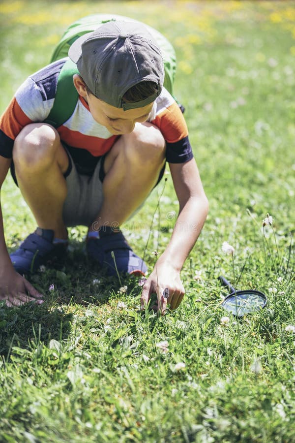 Boy exploring nature in a meadow with a magnifying glass stock photos
