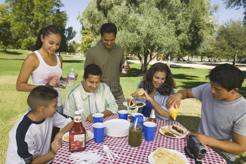 Boy (13-15) with family at picnic.