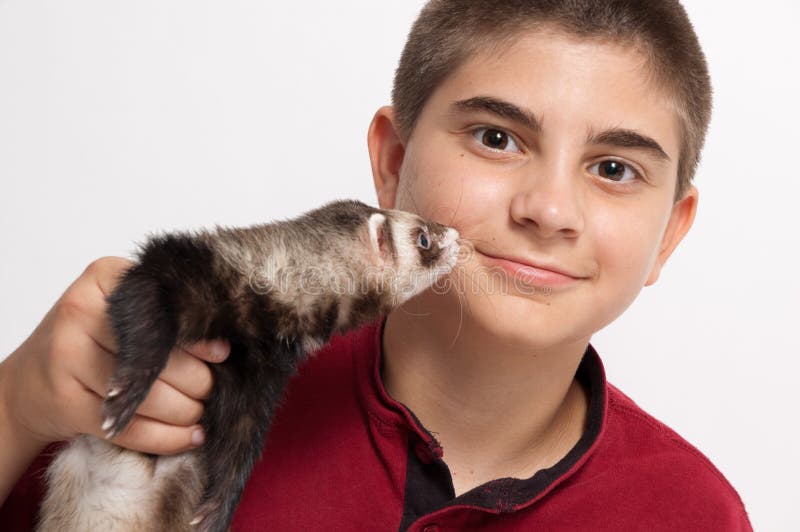 Boy with ferret stock photo. Image of portrait, male 23578866