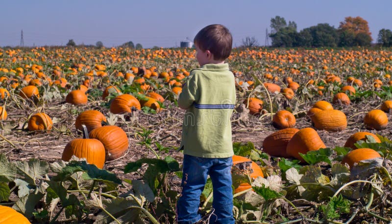 Boy in a field of Pumpkins